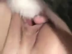 When a dog gives her a raw kiss, a playful young brunette lover with tiny pantoons lets her partner watch.